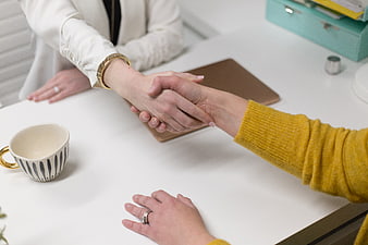Close-up of women shaking hands in office