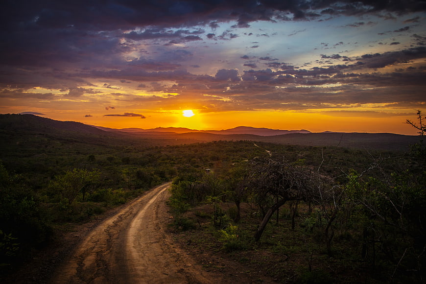 Dramatic sunset over winding dirt road in savanna landscape