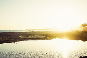 Golden Sunset Over Beach with Birds and Ocean Reflection