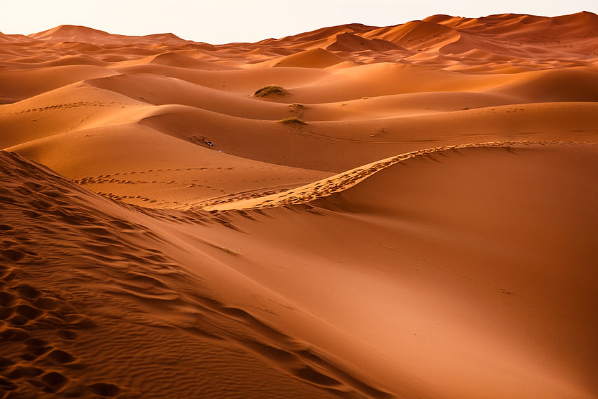 Golden sand dunes in desert landscape at sunset