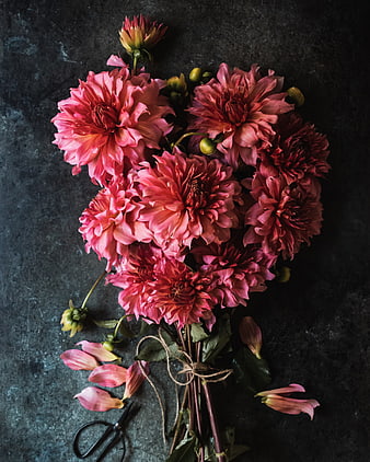 Flat lay of pink dahlia bouquet on dark textured background