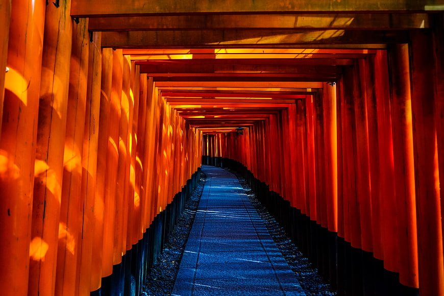 Vermilion Torii Gate Tunnel at Fushimi Inari Shrine Kyoto