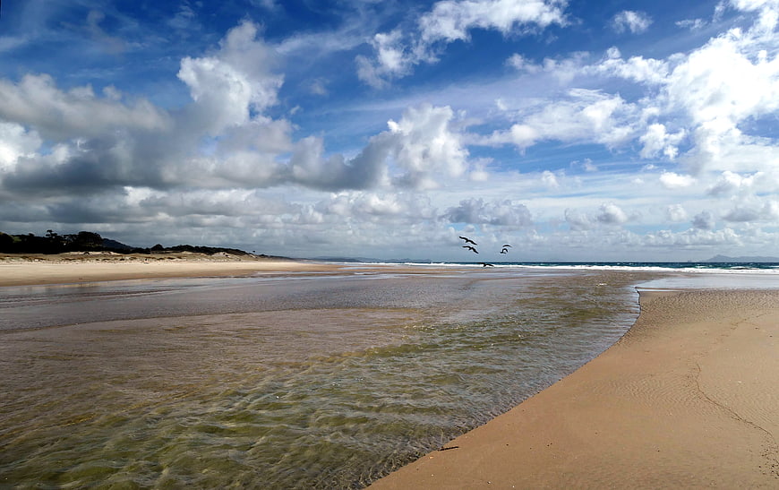 Serene Beach Landscape with Birds Flying Over Sandy Shore