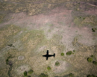 Aerial View of Airplane Shadow Over Savanna with Wildlife