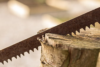 Close-up of rusty saw blade cutting into weathered wood