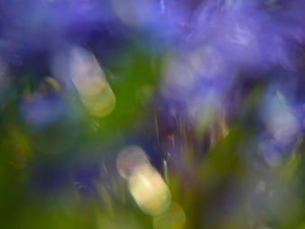 Abstract purple and green bokeh background with soft light