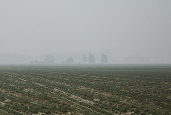 Foggy agricultural field with distant farm buildings and trees