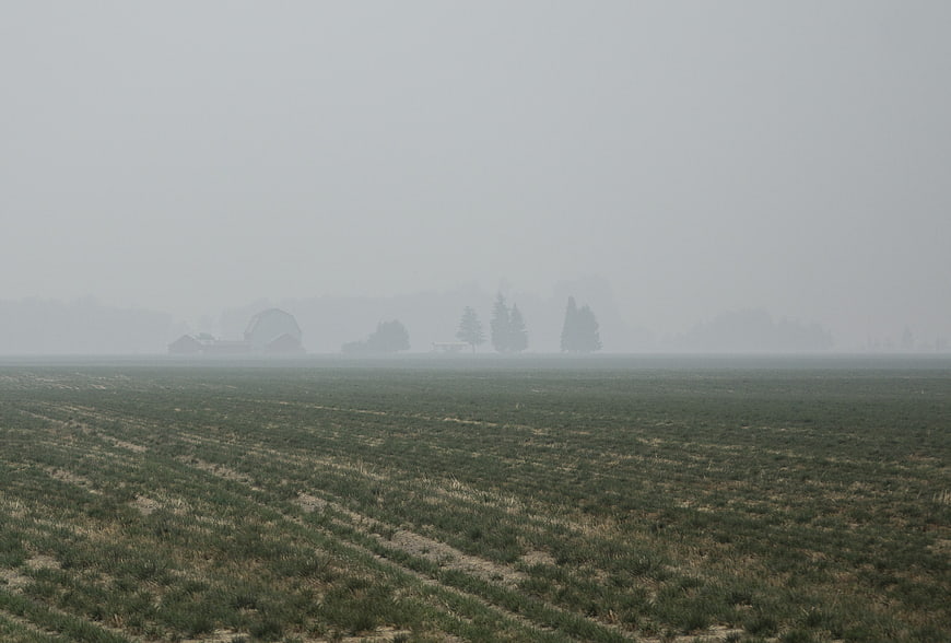 Foggy agricultural field with distant farm buildings and trees
