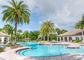 Luxury Resort Swimming Pool with Palm Trees and Cabanas