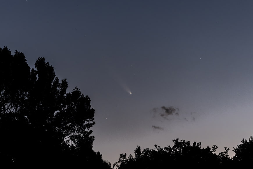 Comet in twilight sky above tree silhouette