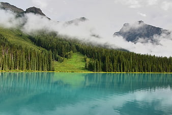 Serene turquoise alpine lake with misty mountains and pine forest