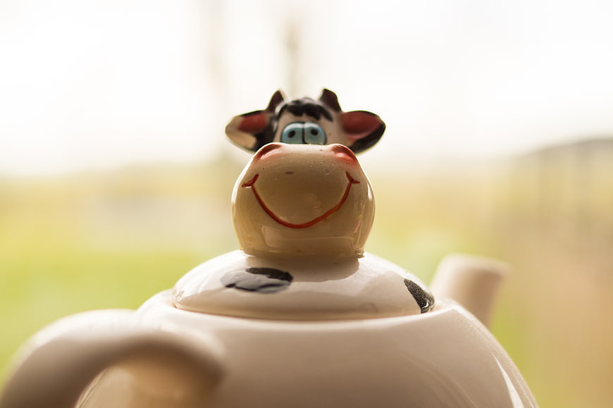 Close-up of a whimsical cow-shaped ceramic teapot lid
