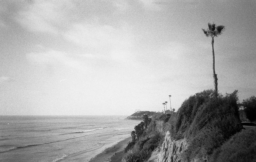 Vintage Black and White Coastal Cliff with Palm Trees