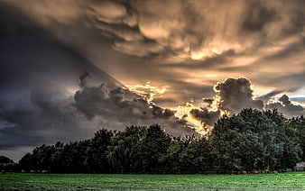 Dramatic Stormy Sky Over Green Pasture with Trees