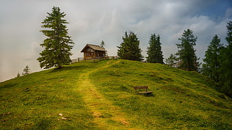 Wooden Cabin on Grassy Hill with Pine Trees and Cloudy Sky