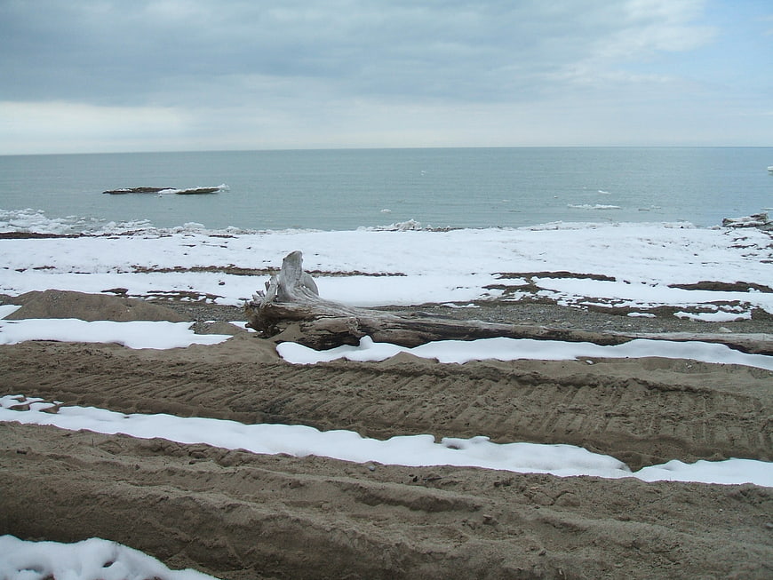 Snowy winter beach with driftwood and tire tracks