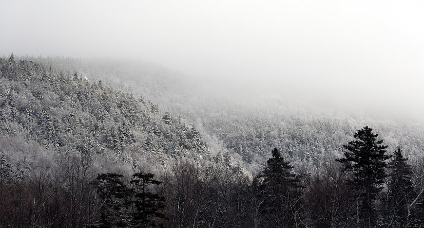 Snowy Winter Forest Landscape with Misty Mountain Background