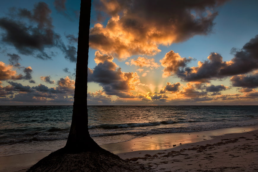 Dramatic Sunset Over Ocean with Silhouetted Palm Tree