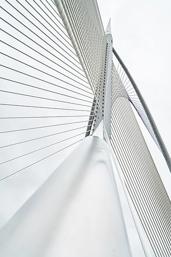 Low Angle View of White Cable-Stayed Bridge Architecture