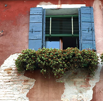 Weathered red wall with blue shutters and succulent window box