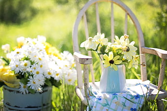 Vintage Chair with Yellow and White Flowers in Garden