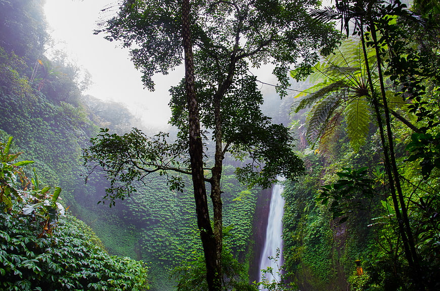 Misty Waterfall in Lush Tropical Rainforest