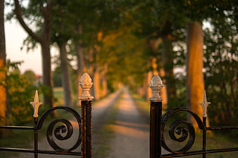 Ornate iron gate opening to a sunlit tree-lined path
