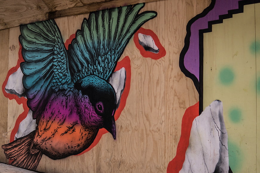 Colorful graffiti bird mural on wooden wall