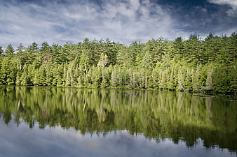 Serene Lake Reflection of Green Forest and Blue Sky