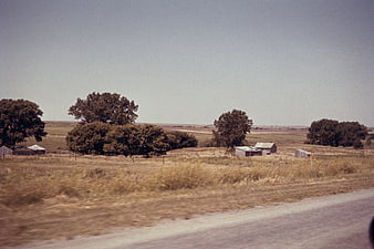 Vintage rural landscape with barns and trees from moving car