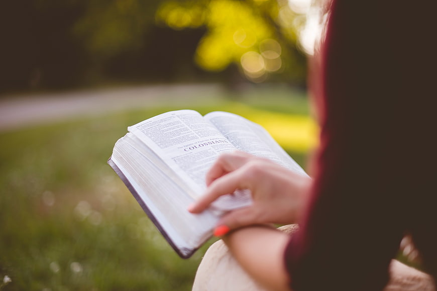 Woman Reading Bible Outdoors in Park