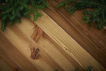 Rustic wooden background with pine branches and copyspace