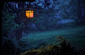 Glowing Lantern in Misty Garden at Dusk