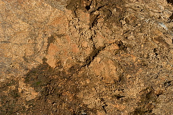 Close-up texture of wet, muddy earth and rocky soil