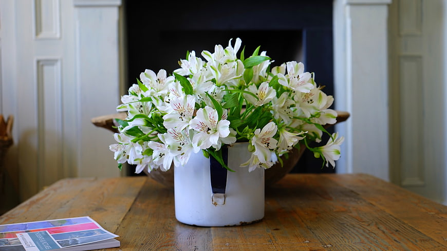 White Alstroemeria Flowers in Vintage Enamel Pitcher on Wooden Table