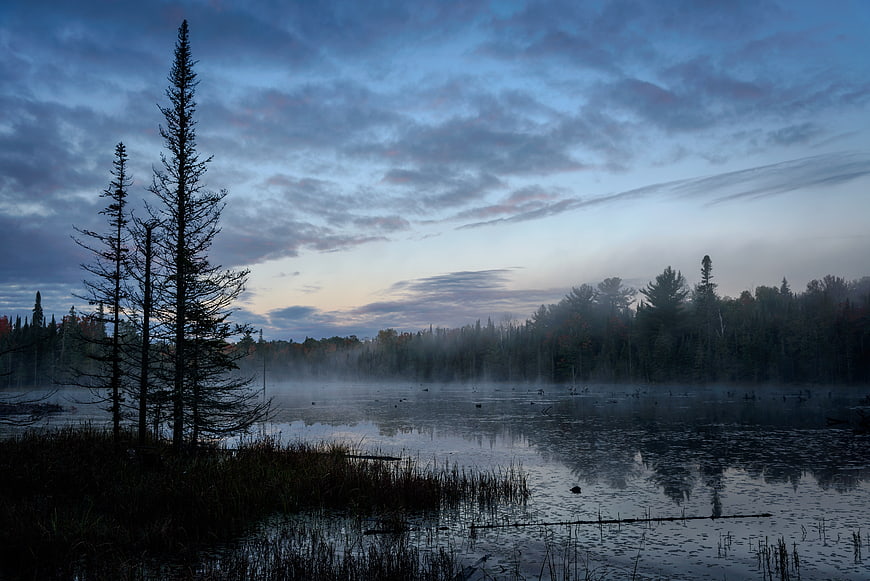 Misty Lake at Dawn with Silhouetted Pine Trees