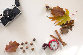 Autumn flat lay with vintage camera, leaves, and accessories