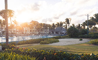 Luxury tropical resort pool at golden hour with palm trees
