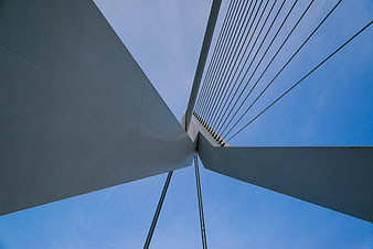 Low angle view of Erasmus Bridge architecture Rotterdam