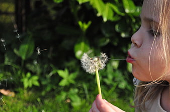 Close-up of young girl blowing dandelion seeds in garden