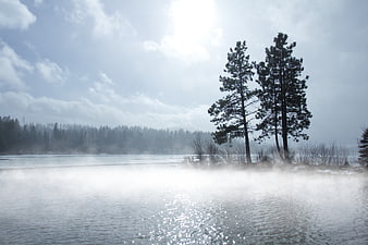 Misty Lake Landscape with Pine Trees and Morning Sunlight