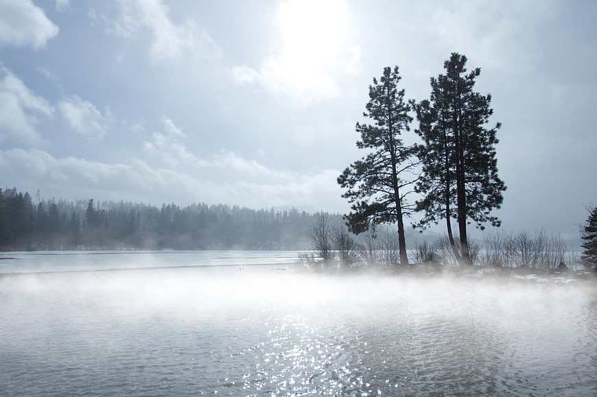 Misty Lake Landscape with Pine Trees and Morning Sunlight