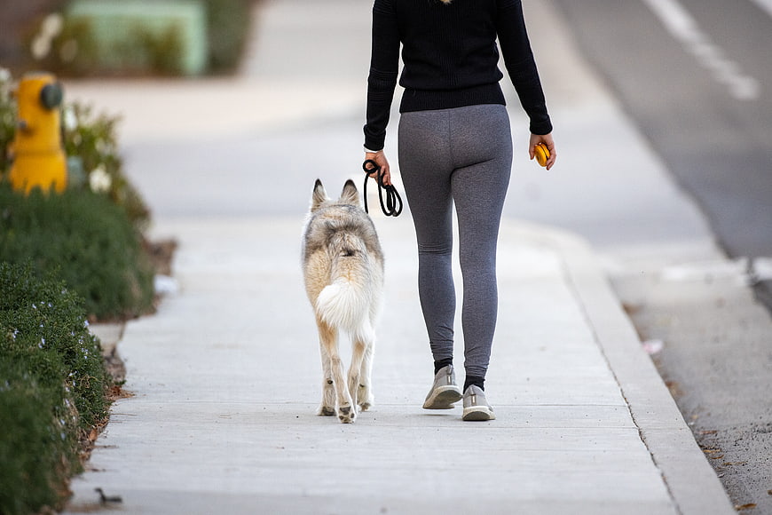 Woman Walking Dog on Sidewalk from Behind