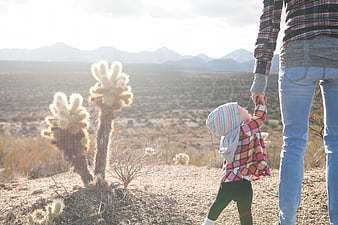 Toddler holding adult hand walking in desert landscape