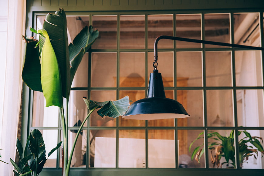 Industrial pendant lamp and green plant by window
