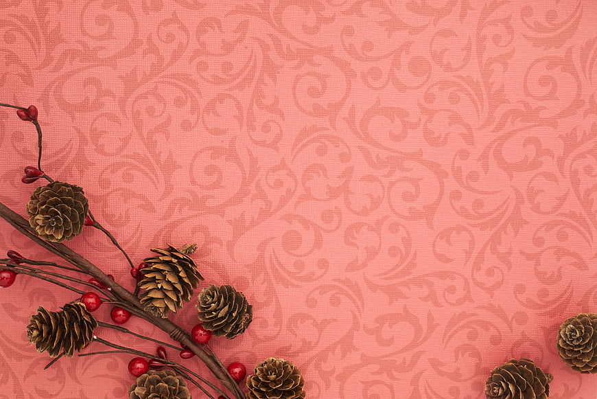 Christmas pine cones and berries on pink patterned background