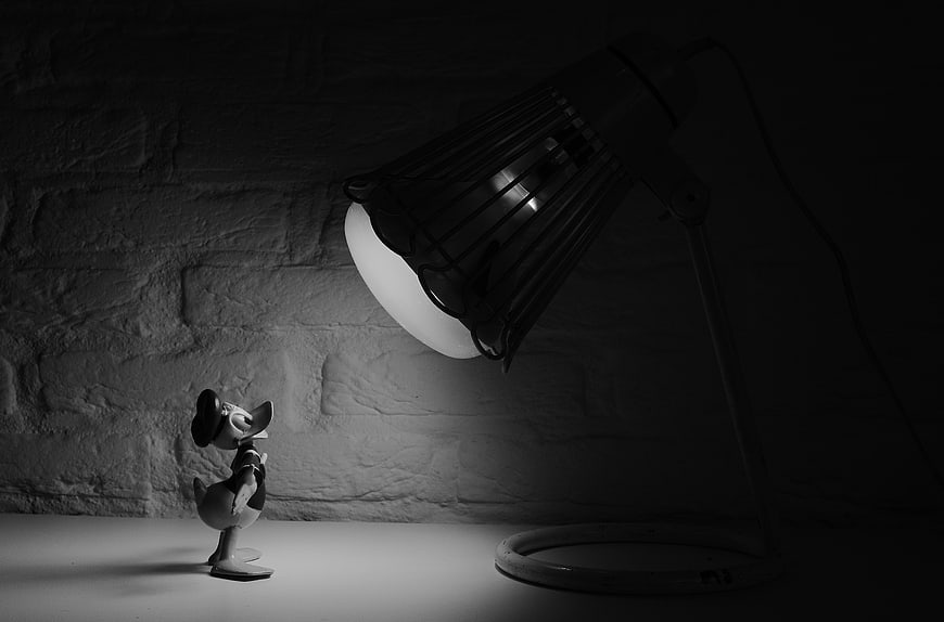 Black and white Donald Duck figurine under spotlight