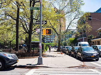 Sunny Urban Street Corner with Park and Parked Cars