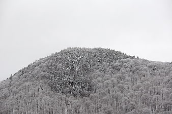 Snow-covered forested mountain hill in winter