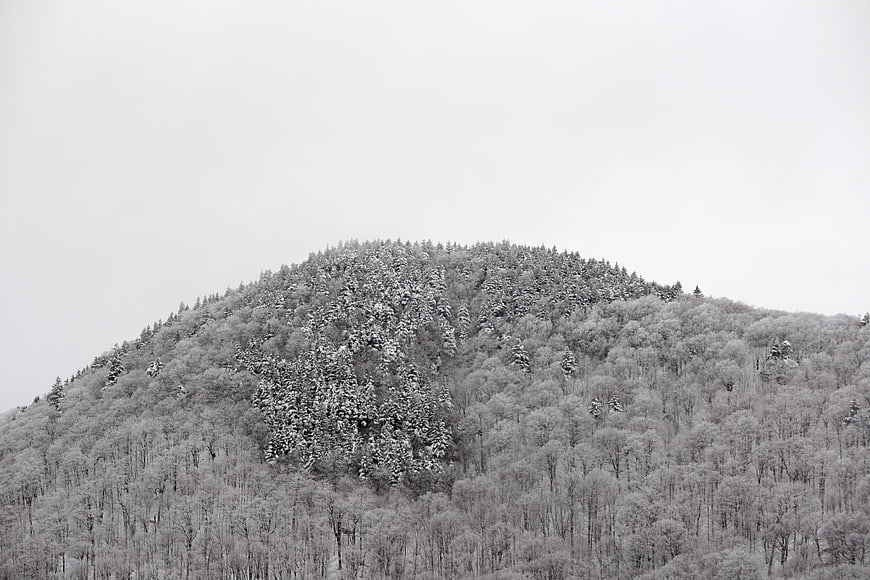 Snow-covered forested mountain hill in winter